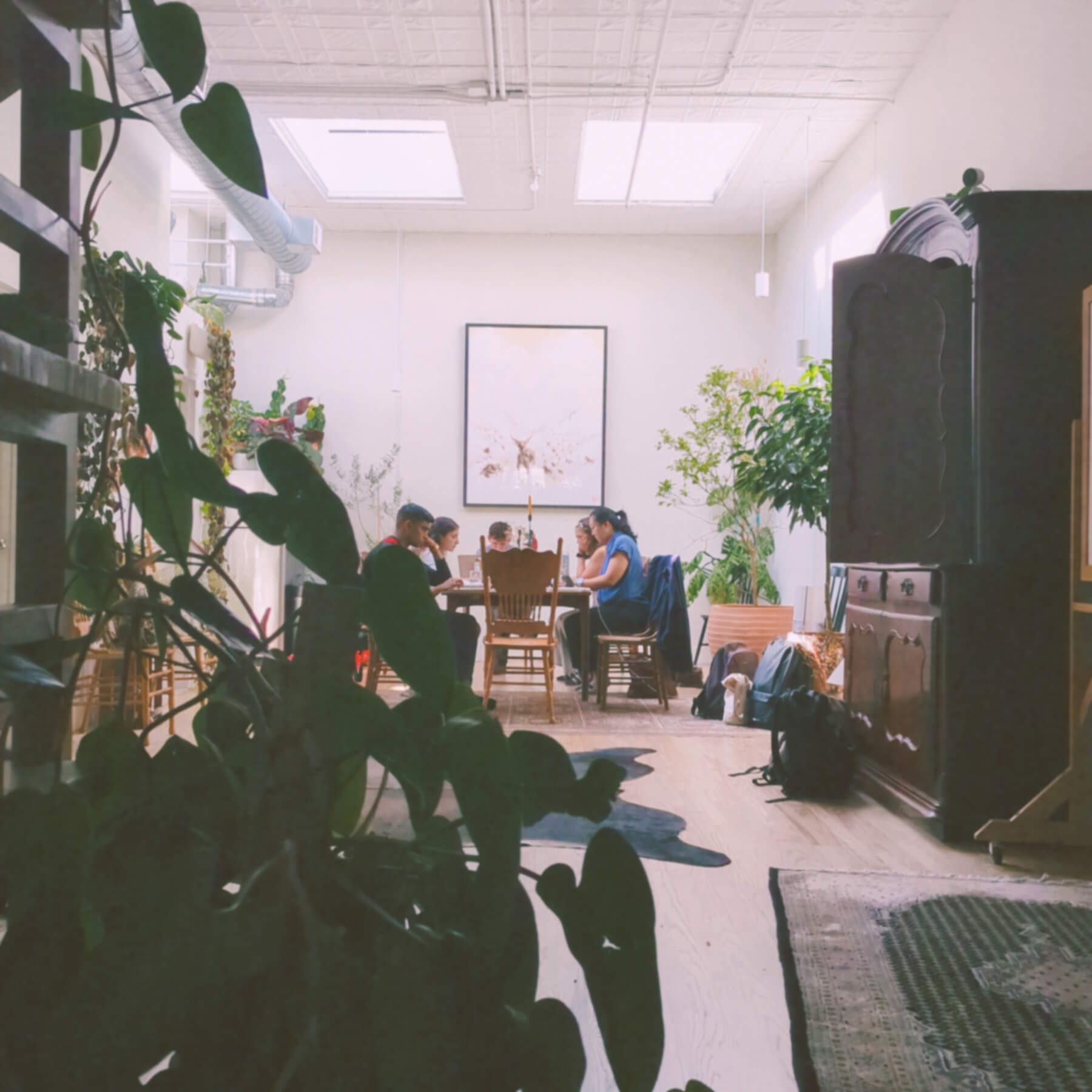 People working on their laptops in a beautiful co-working space